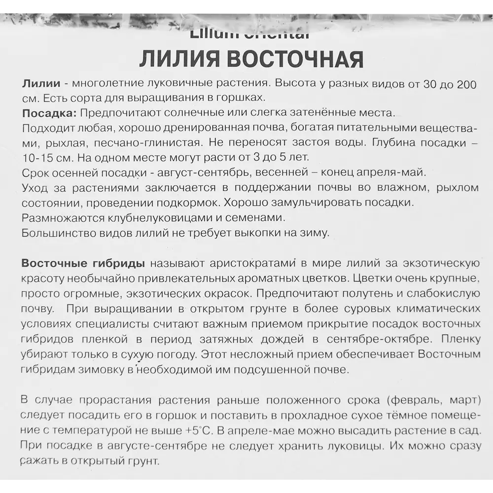 Лилия восточная Тайгермун 1 шт. 83588542 STLM-2106104 Santreyd  - Вид №2