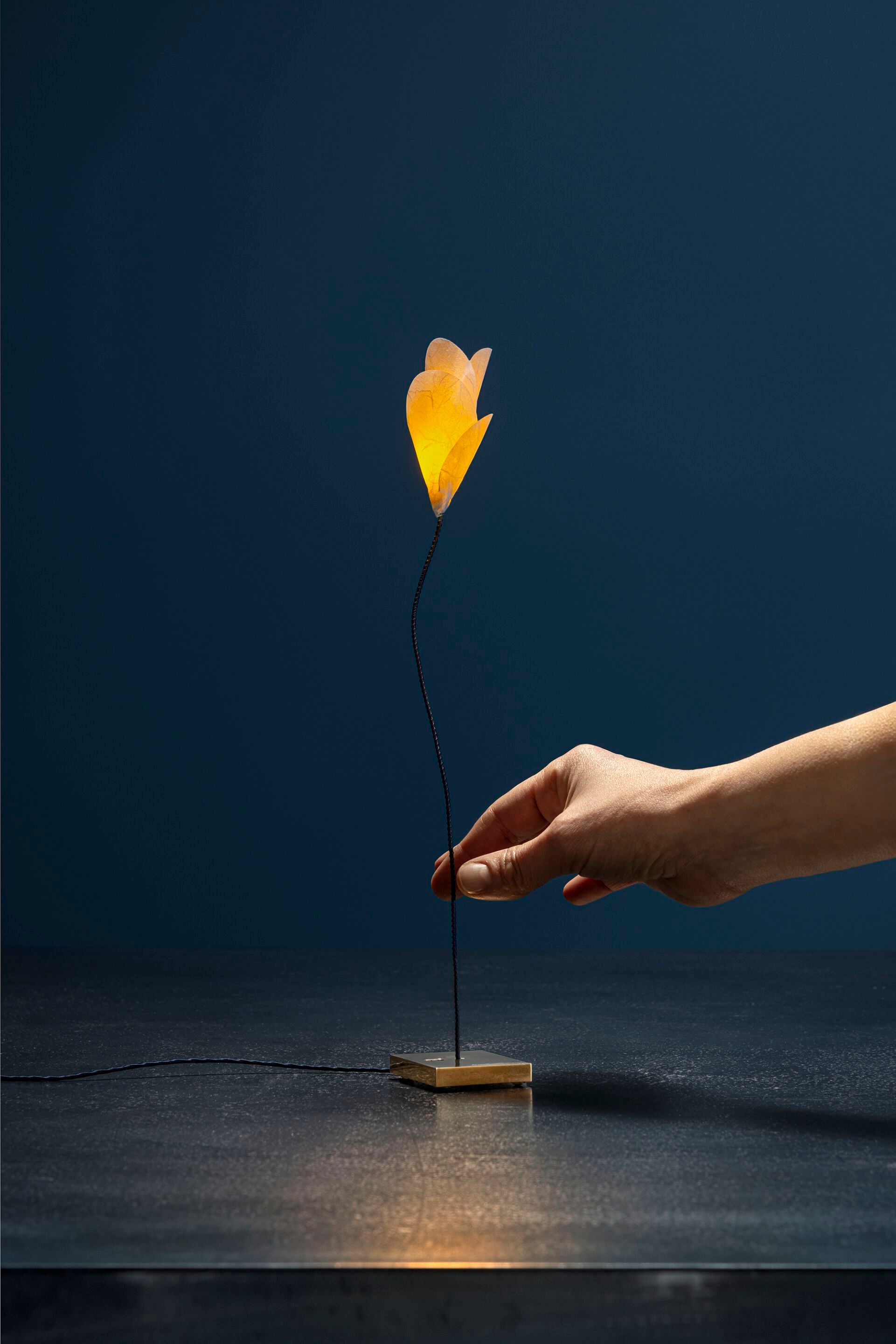 Светодиодная настольная лампа Catellani & Smith вечные предметы ARCH-00042539 - Вид №3