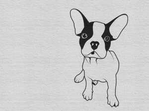 Architects Paper Обои с цифровой печатью Walls by patel ii