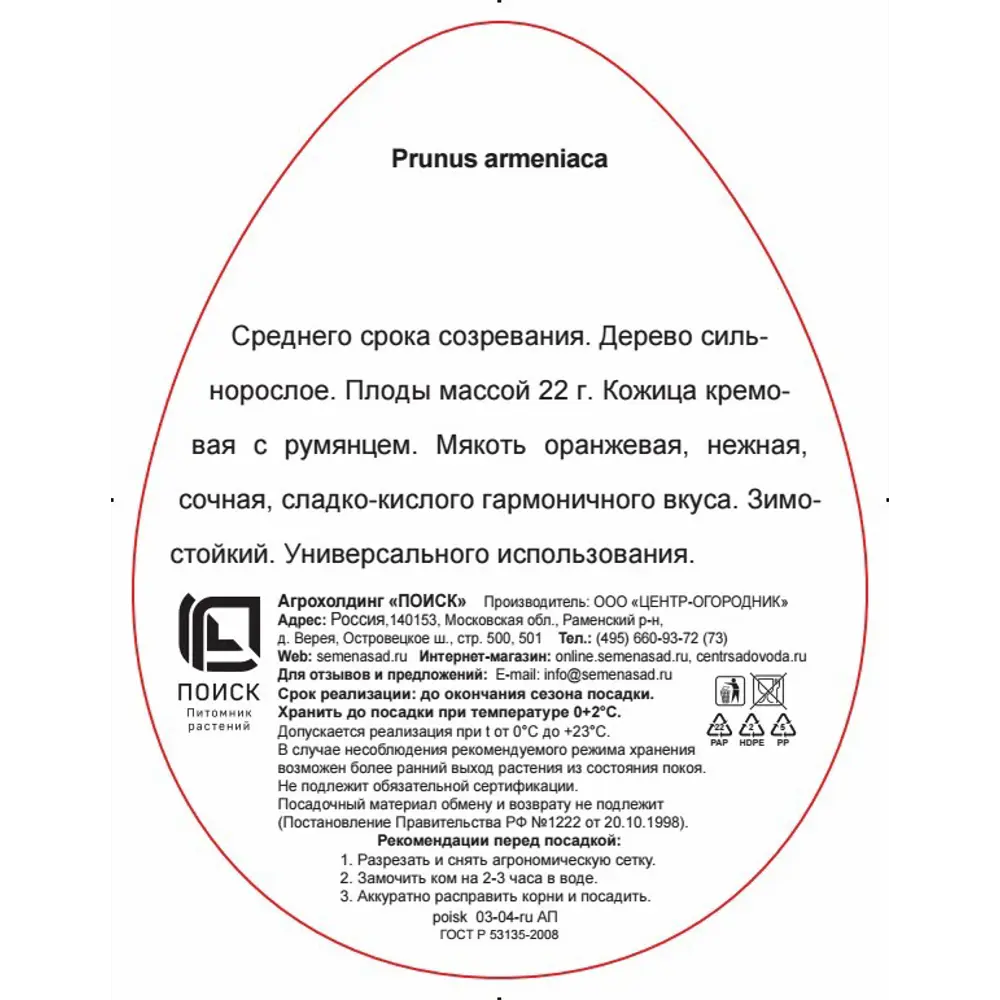 Абрикос Графиня ø20 h220 см 83787929 STLM-2007537 Santreyd  - Вид №2