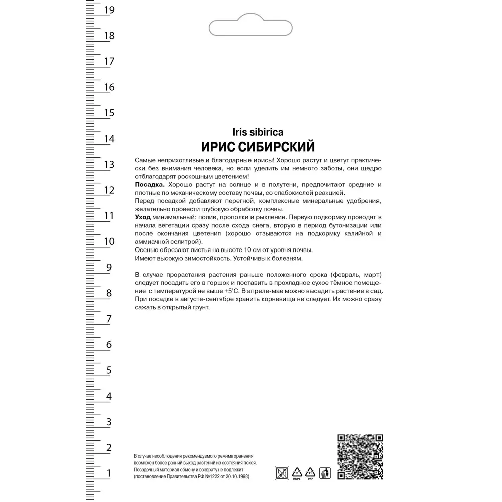 Ирис сибирский Саммер Ревелз 82530210 STLM-2005153 Santreyd  - Вид №1