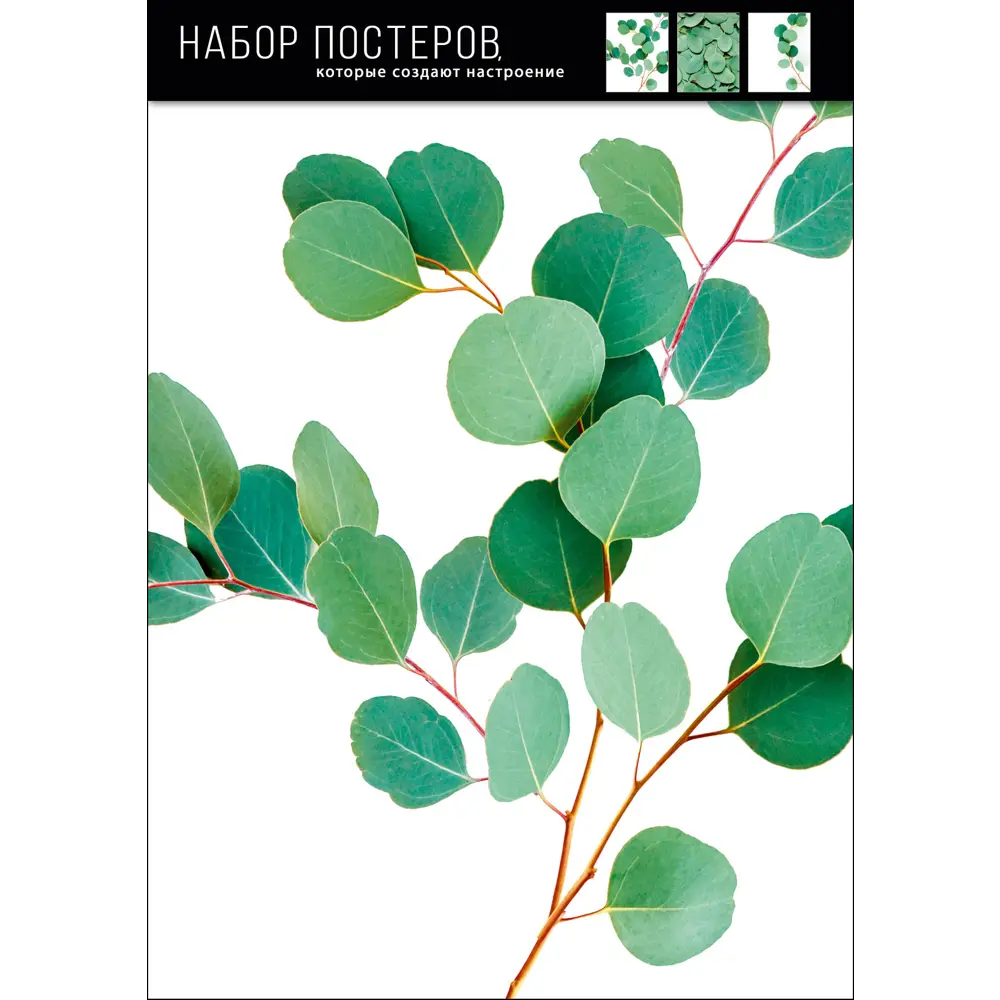 Набор постеров Листья 21x29.7 см 88909950 STLM-2172590 АРТ ДИЗАЙН  - Вид №1