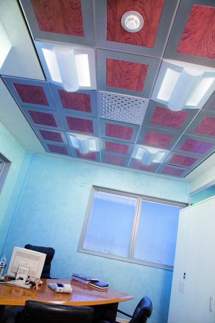 atena Потолочные панели sun-id-1382713 - Вид №5