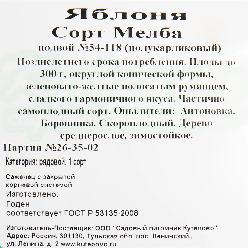 Яблоня «Мелба» C4 высота 140 см 82597154 STLM-2134820 Santreyd  - Вид №1