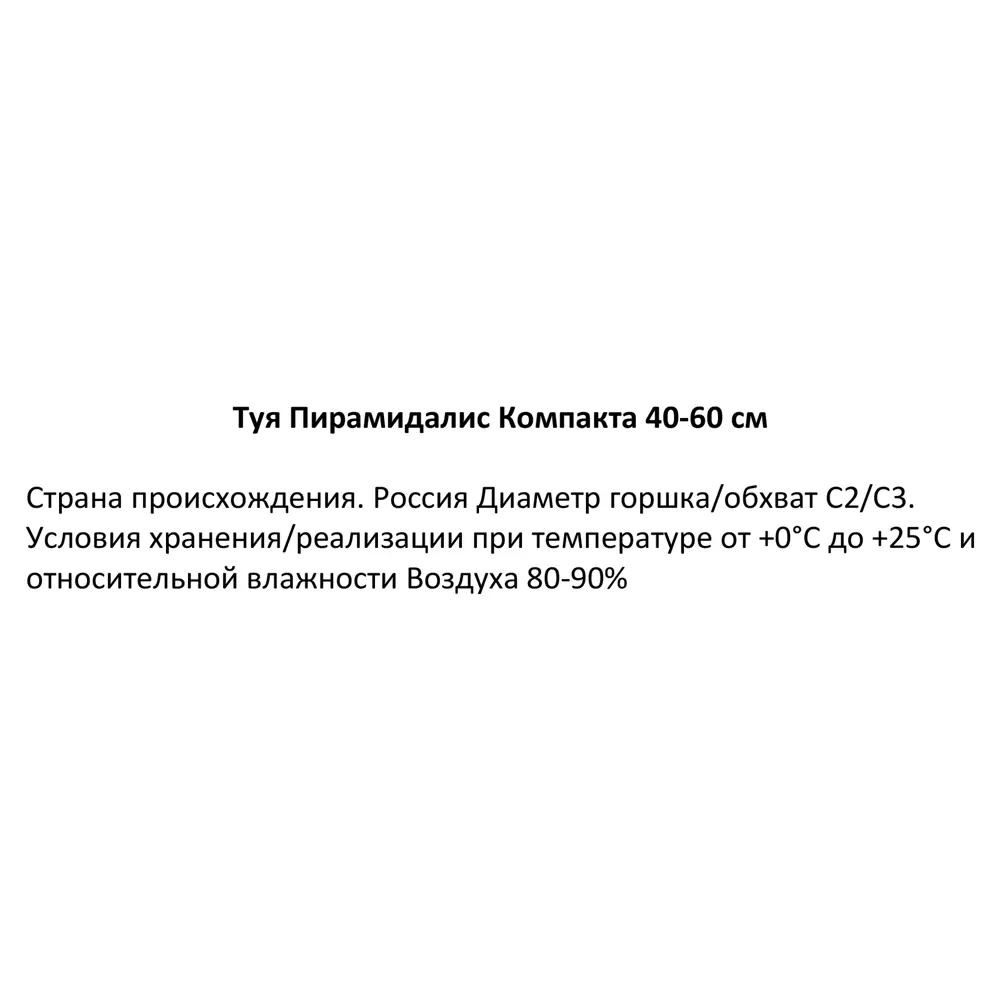 Туя западная Пирамидалис ø19 см h40-60 см 85088192 STLM-2138235 Santreyd  - Вид №2