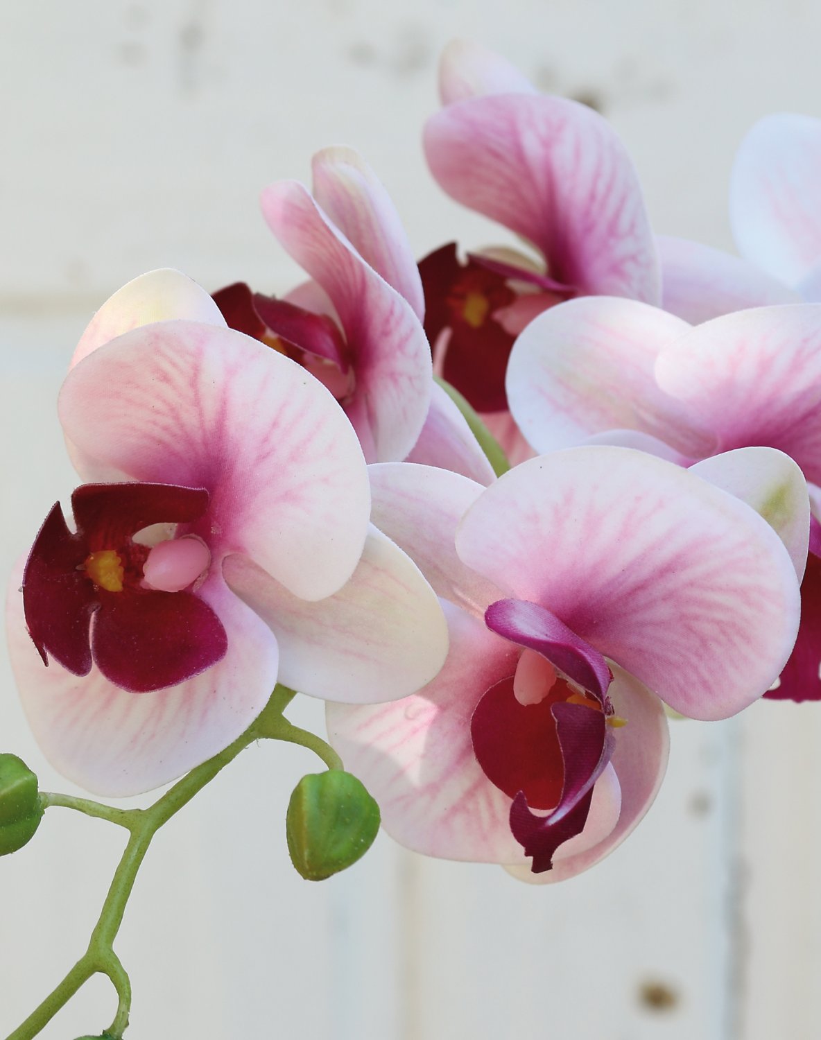 2650 510 a3 Искусственная орхидея Phalaenopsis, 80 см, real touch soft, роза H-andreas  - Вид №3