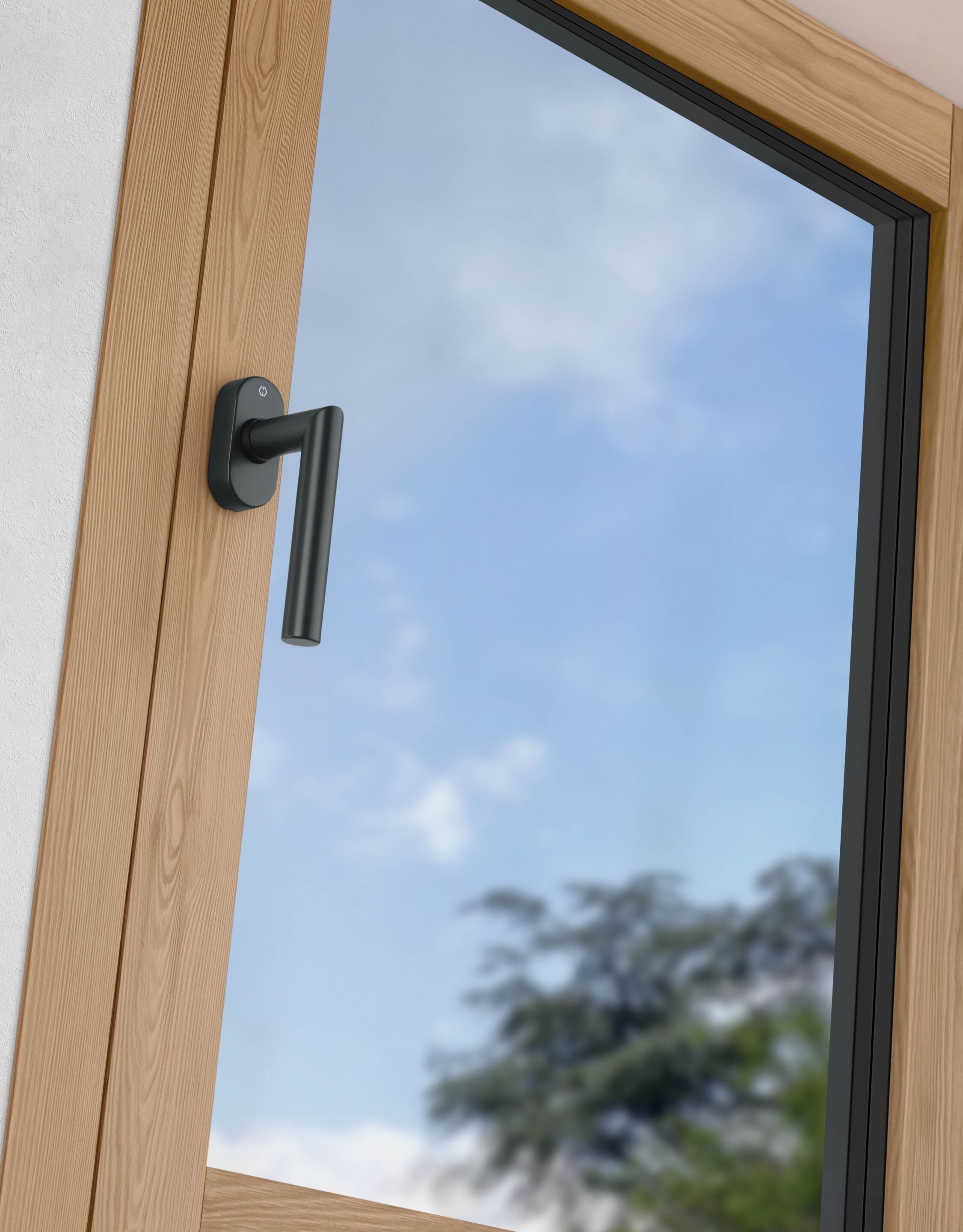 Оконная ручка DK HOPPE ARCH-00097763 - Вид №1