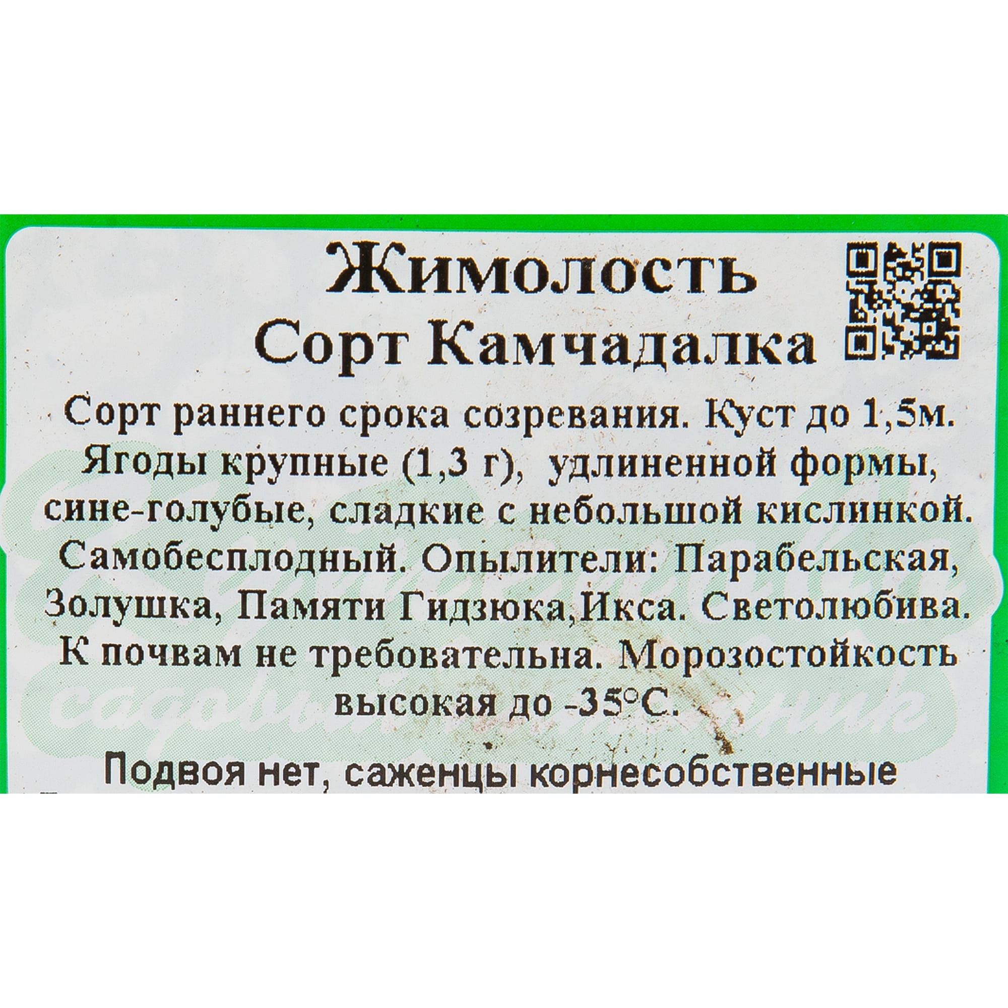 82597073 Жимолость плодовая «Камчадалка» C3 высота 50 см Santreyd  - Вид №1