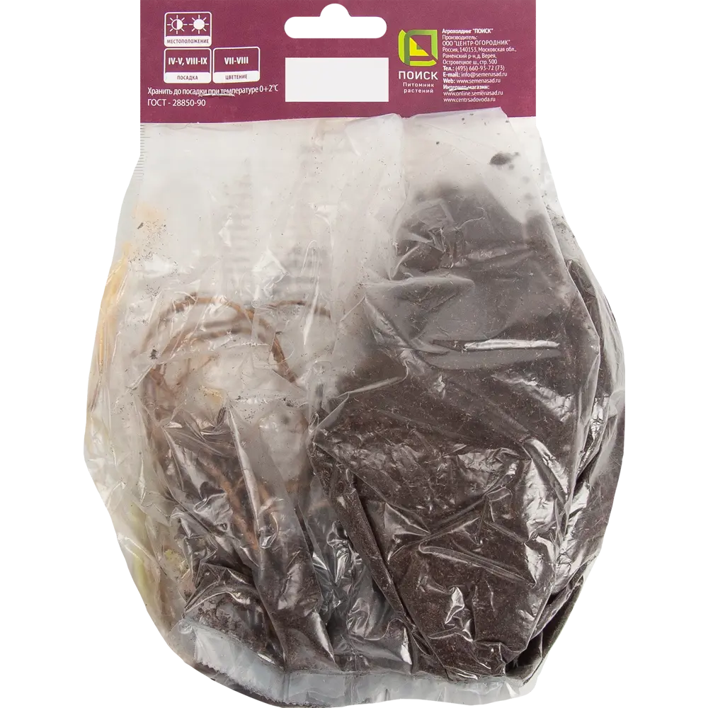 Хоста Блу Кадет ПОИСК - многолетник для тенистого сада 85205447 STLM-1473239 - Вид №1