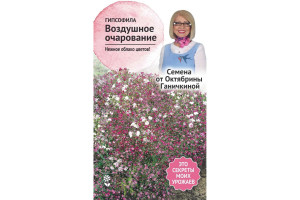 19489218 Семена Гипсофила Воздушное очарование 0.1 г 119326 ОКТЯБРИНА ГАНИЧКИНА