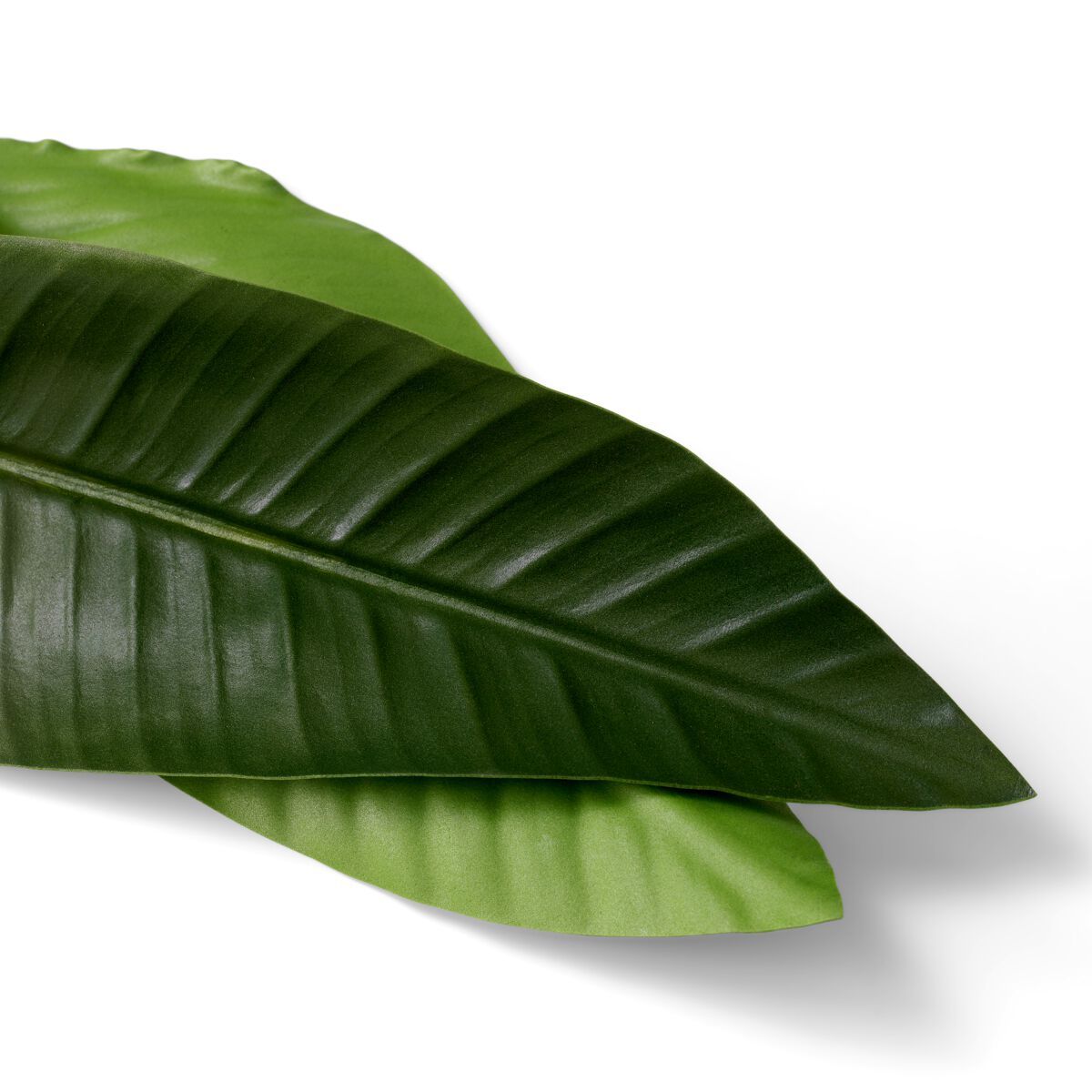 Искусственное растение Eichholtz BUNDLE OF STRELITZIA LEAVES ARCH-00000750 - Вид №1