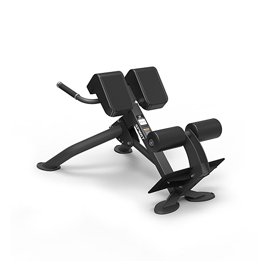 SP-4220 Spirit fitness sp-4220 гиперэкстензия под углом 45 градусов Spirit Fitness  - Вид №1