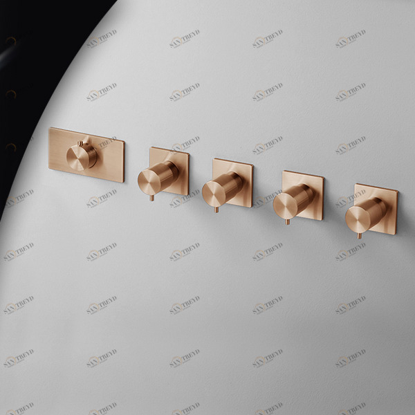 Термостат для душа AICO TER57R розовое золото Radomonte