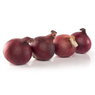 Лук красный Santreyd 2114 - Вид №1