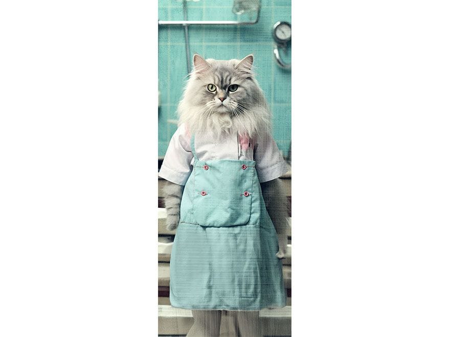 Наклейка на дверь Creativespace крышка двери ARCH-00079670 - Вид №1