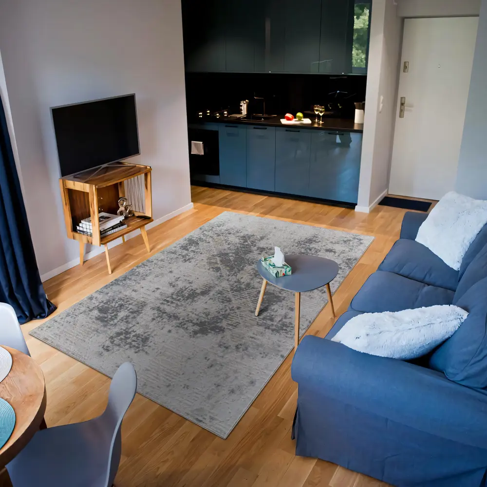 Ковер Merinos Point 80×150 см серый современный с узором 89423603 STLM-1567509