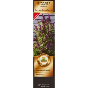 Буддлея Давида Баттерфляй Тауэ Люкс ø9 h39 см 83738711 STLM-2042778