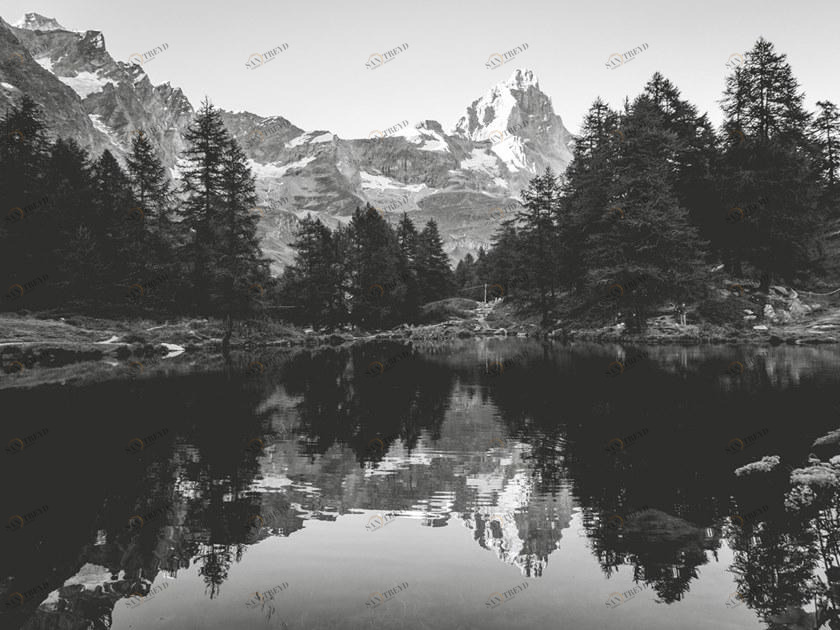 MOMENTI Авторский художественный принт Crazy home paintings An-006