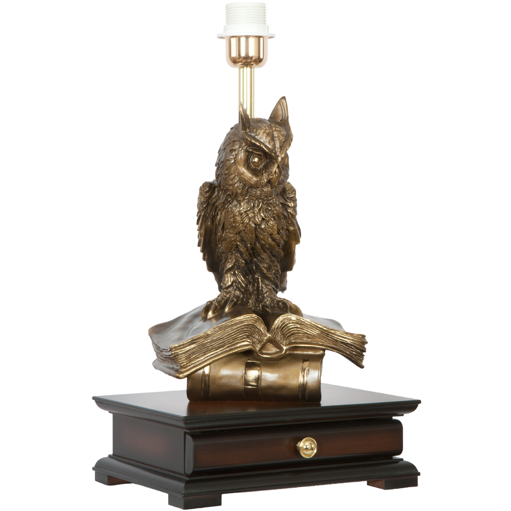 33006/1,34074 Настольная лампа с бюро Ученый Филин Классика Поталь BOGACHO 4627138211540, 4627155810771 - Вид №4