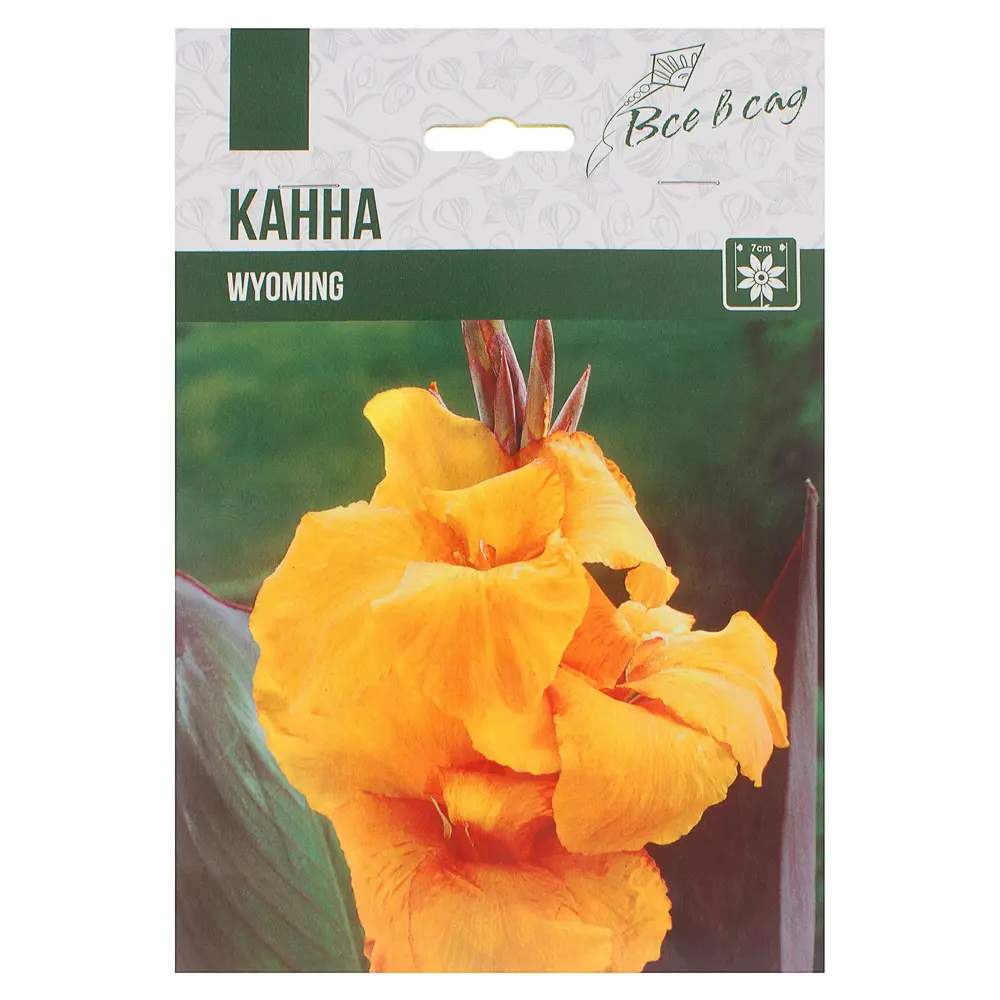 Канна Вайоминг I, 1 шт 81945992 STLM-2090344 Santreyd 