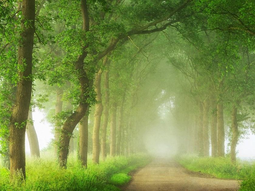 Architects Paper Обои с цифровой печатью с пейзажами Ap digital iv 109265 - Вид №1