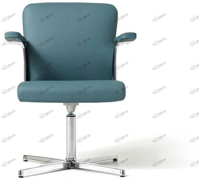 Diemme Офисное кресло в коже с 4-мя спицами и подлокотниками Halfpipe sun-id-1378093