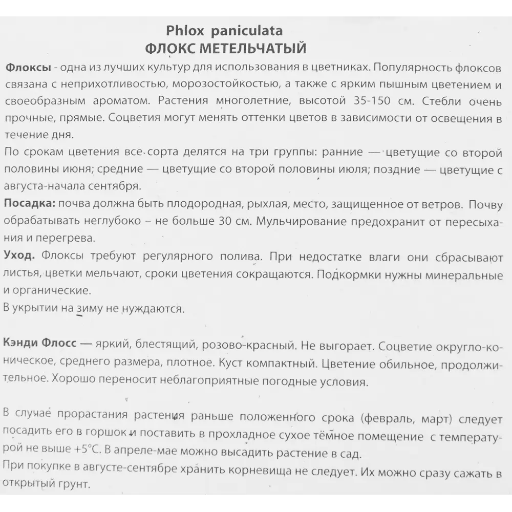 Флокс метельчатый Кэнди флосс луковица I 88294965 STLM-2017553 Santreyd  - Вид №2