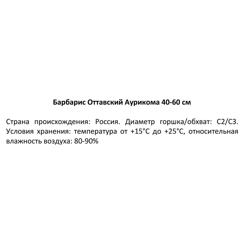 Барбарис Оттавский Аурикома ø19 см h40-60 см 85088295 STLM-2192937 Santreyd  - Вид №2