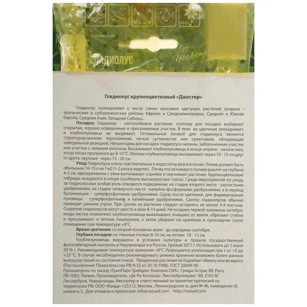 Гладиолус «Джестер» 17511333 STLM-2065435 ВСЕ В САД  - Вид №1