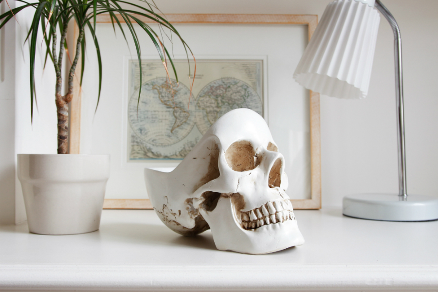 Органайзер для мелочей Skull, белый SUCK UK SKTIDYSKULL1 - Вид №11