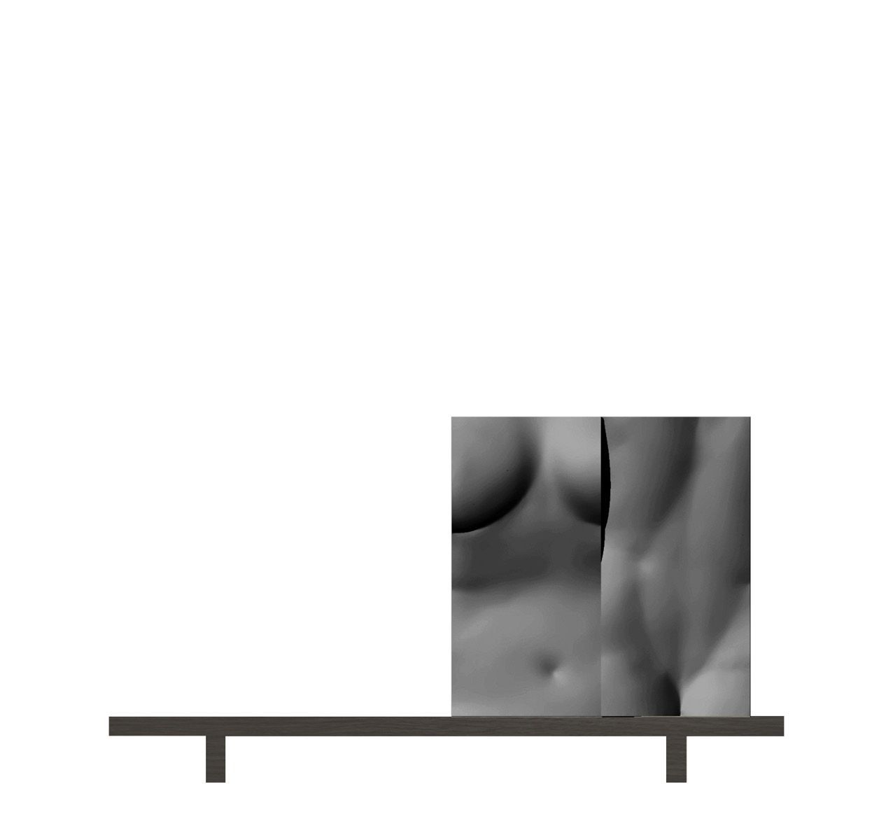 Секционный шкаф Driade Геркулес и Афродита ARCH-00066959 - Вид №15