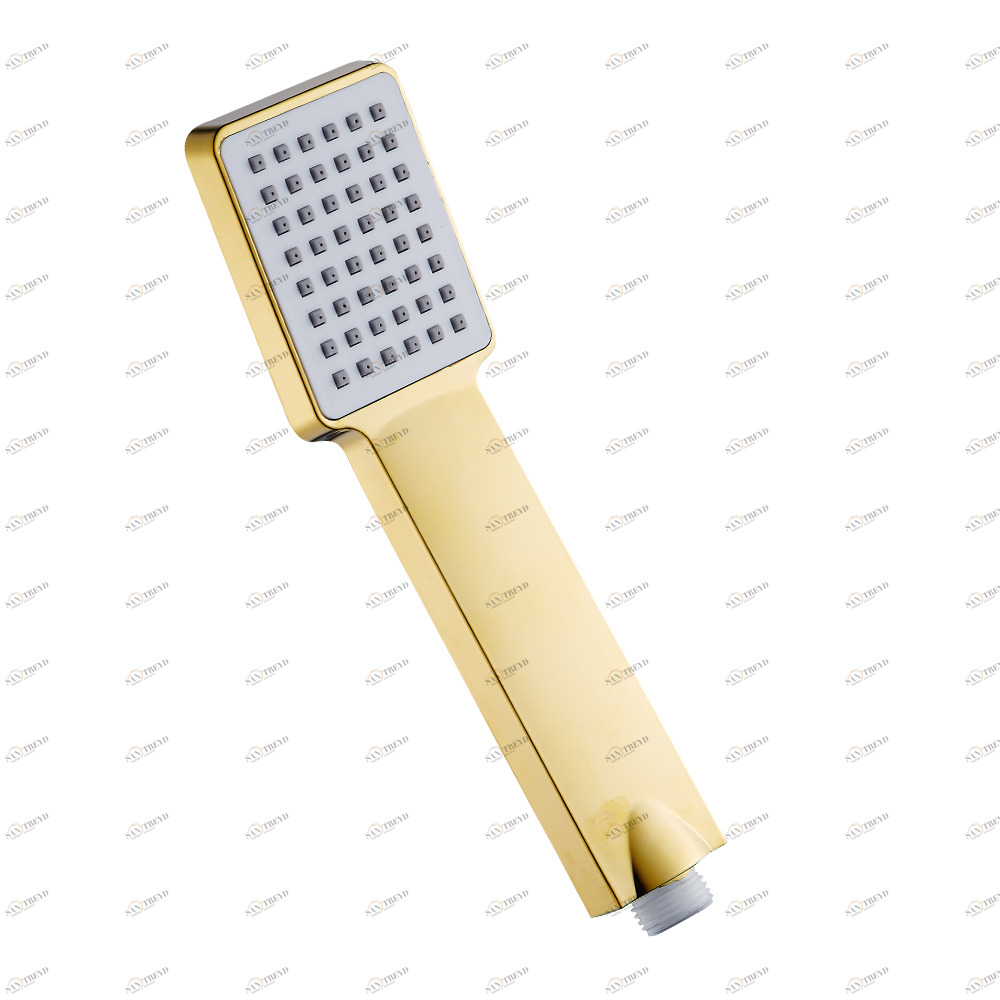 Лейка для душа Raiber RHWG18 RHWG18 Santreyd 