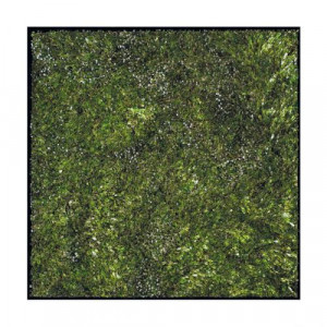 Cattedrale N.27 Произведение искусства Visionnaire