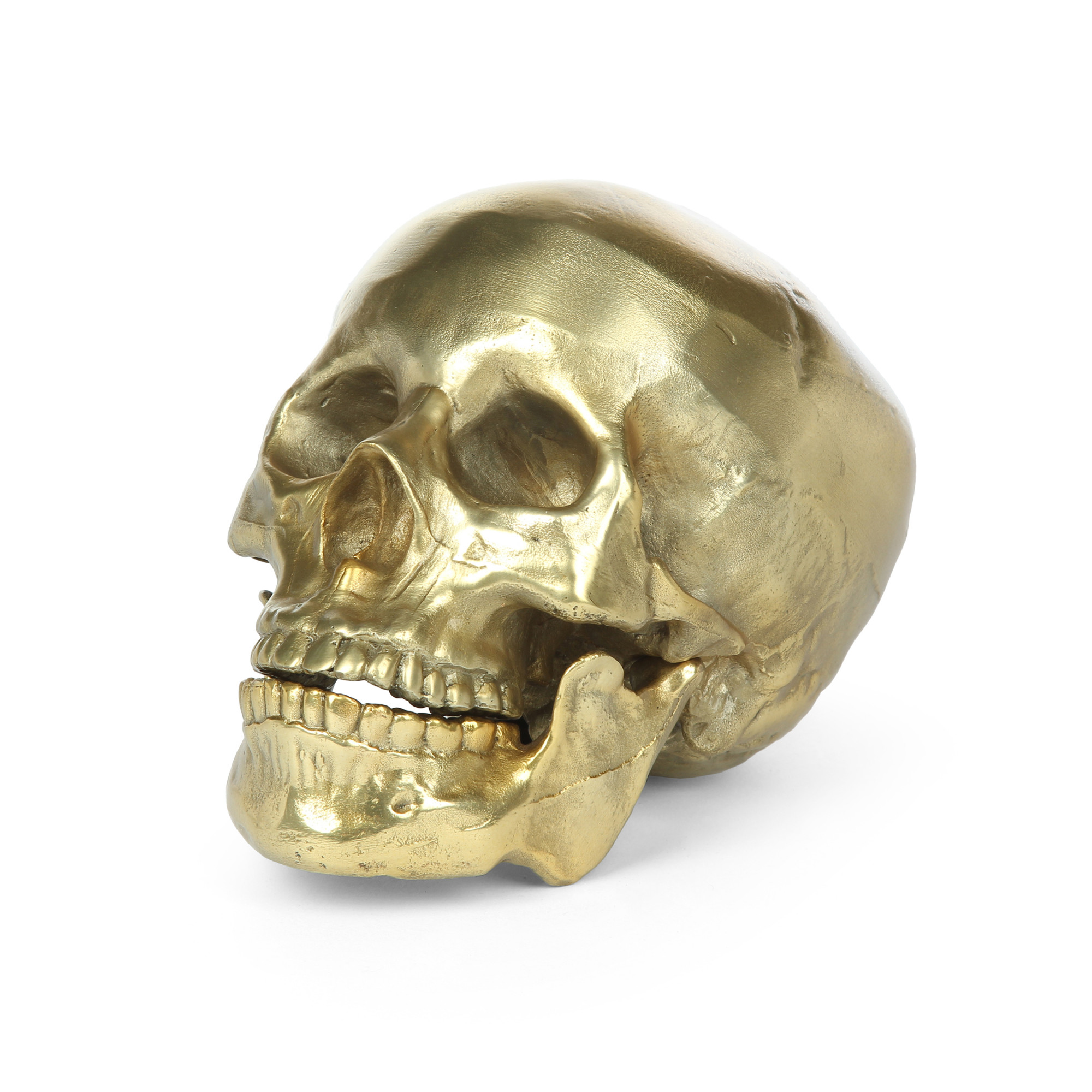 2216297543283 Статуэтка human skull Seletti 