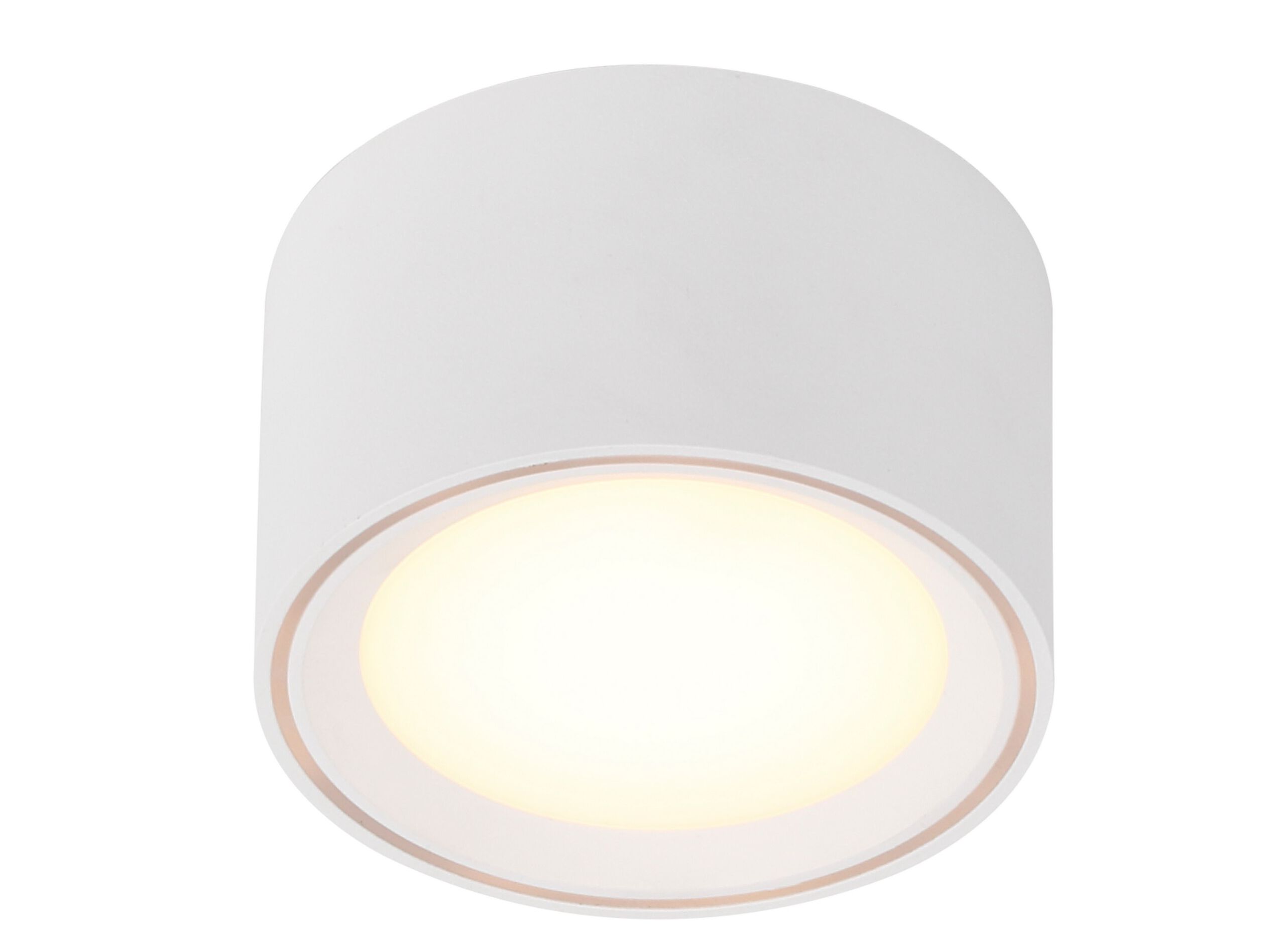 Круглый металлический потолочный светильник Nordlux FALLON ARCH-00098708 - Вид №1