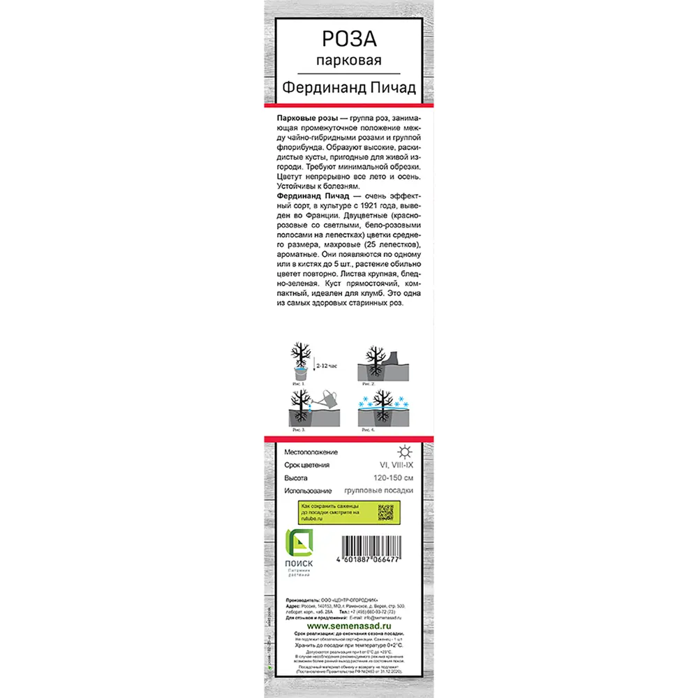 Розы парковые «Фердинанд Пичад» 18348700 STLM-2046486 Santreyd  - Вид №3