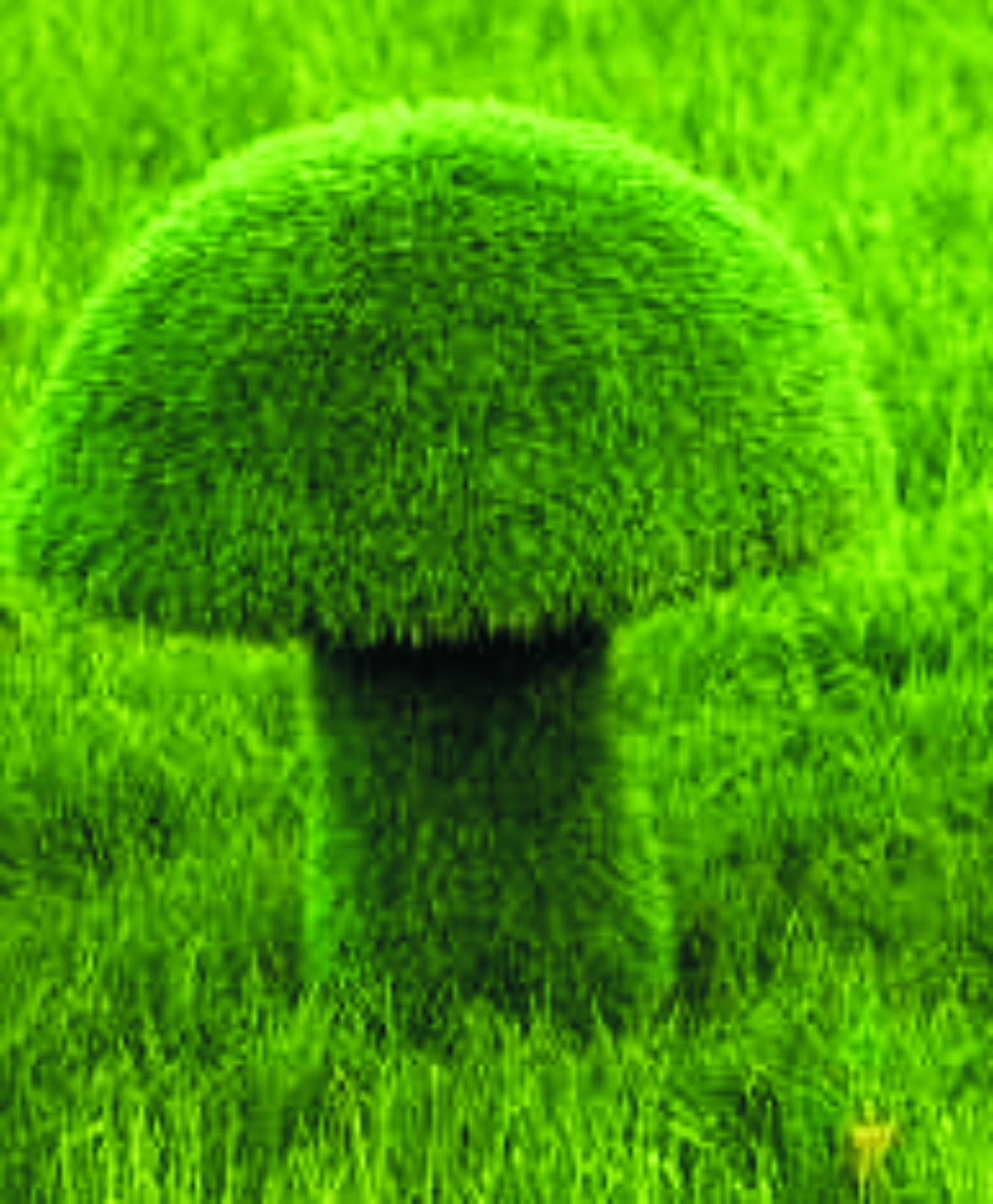 GRB1.01-TF.JV ГРИБ 1, каркас топиарной фигуры с искусственным озеленением LAB.Space 