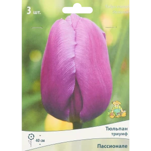 Тюльпан Триумф Пассионалез луковица 10/11, 3 шт. 88294817 STLM-2058969