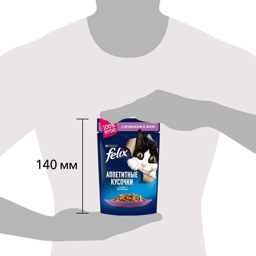 ПР0024864 Корм для кошек Аппетитные кусочки с ягненком в желе, пауч 85 г FELIX  - Вид №9