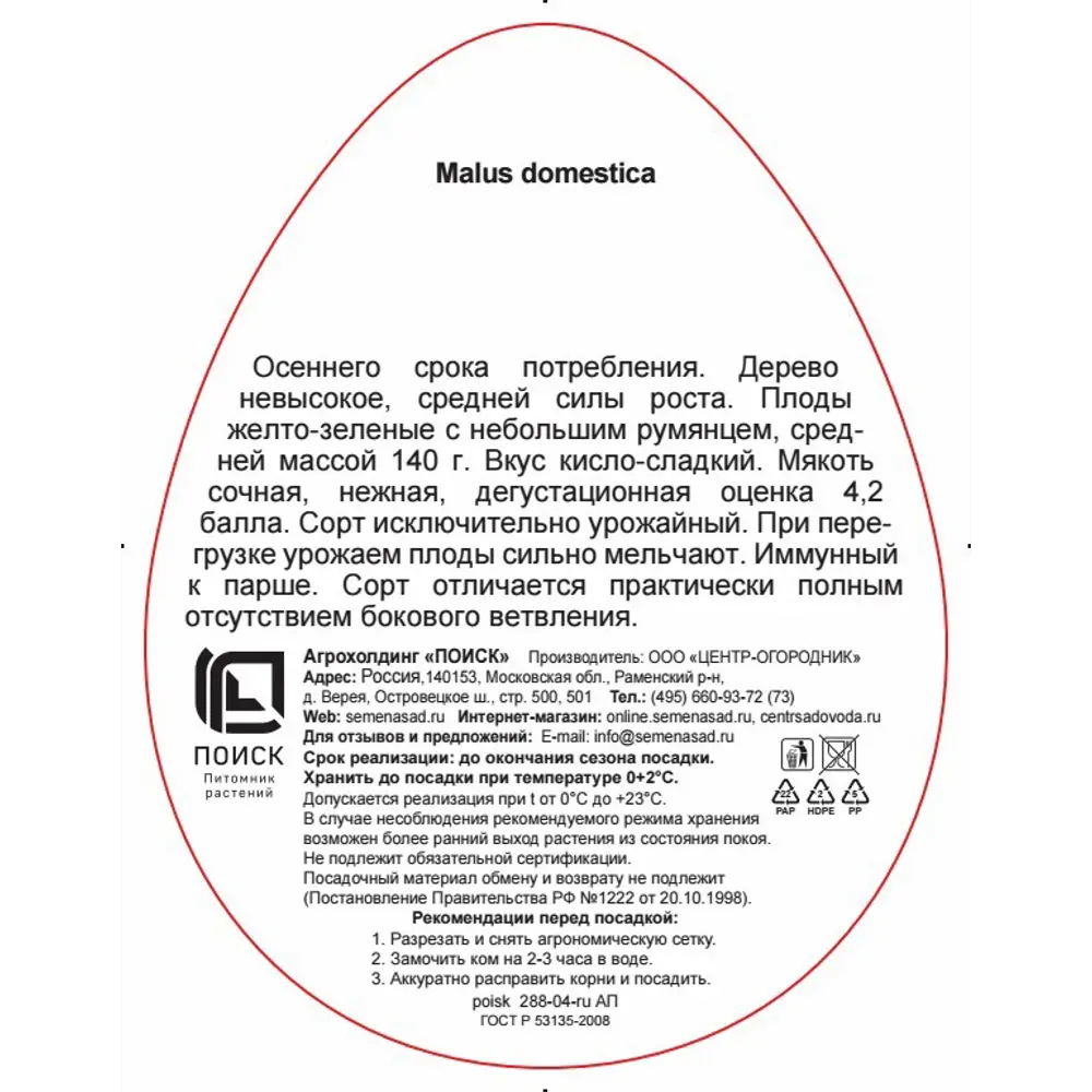 Яблоня колоновидная Гирлянда в сетке 83791283 STLM-2095875 Santreyd  - Вид №2