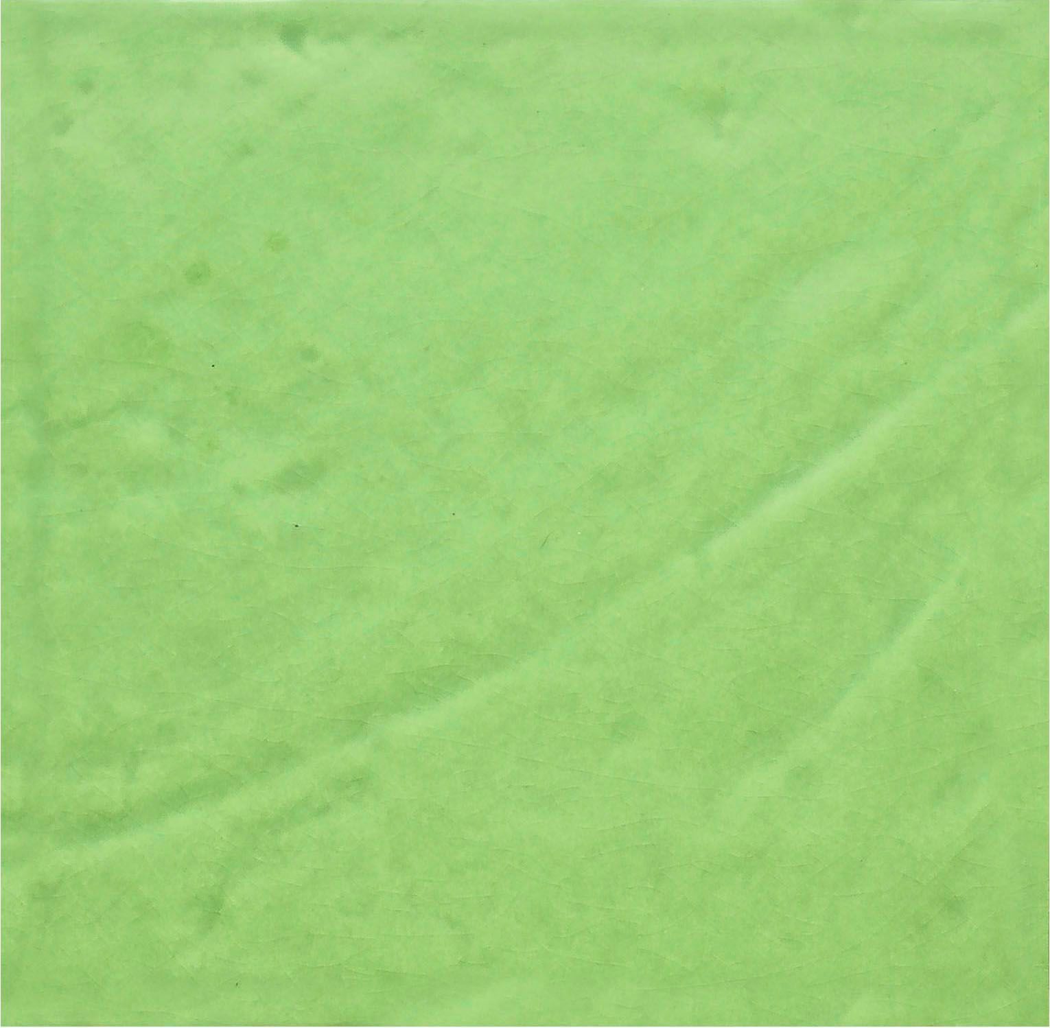 Пол / покрытие ручной работы La Riggiola одноцветный ARCH-00082525 - Вид №1