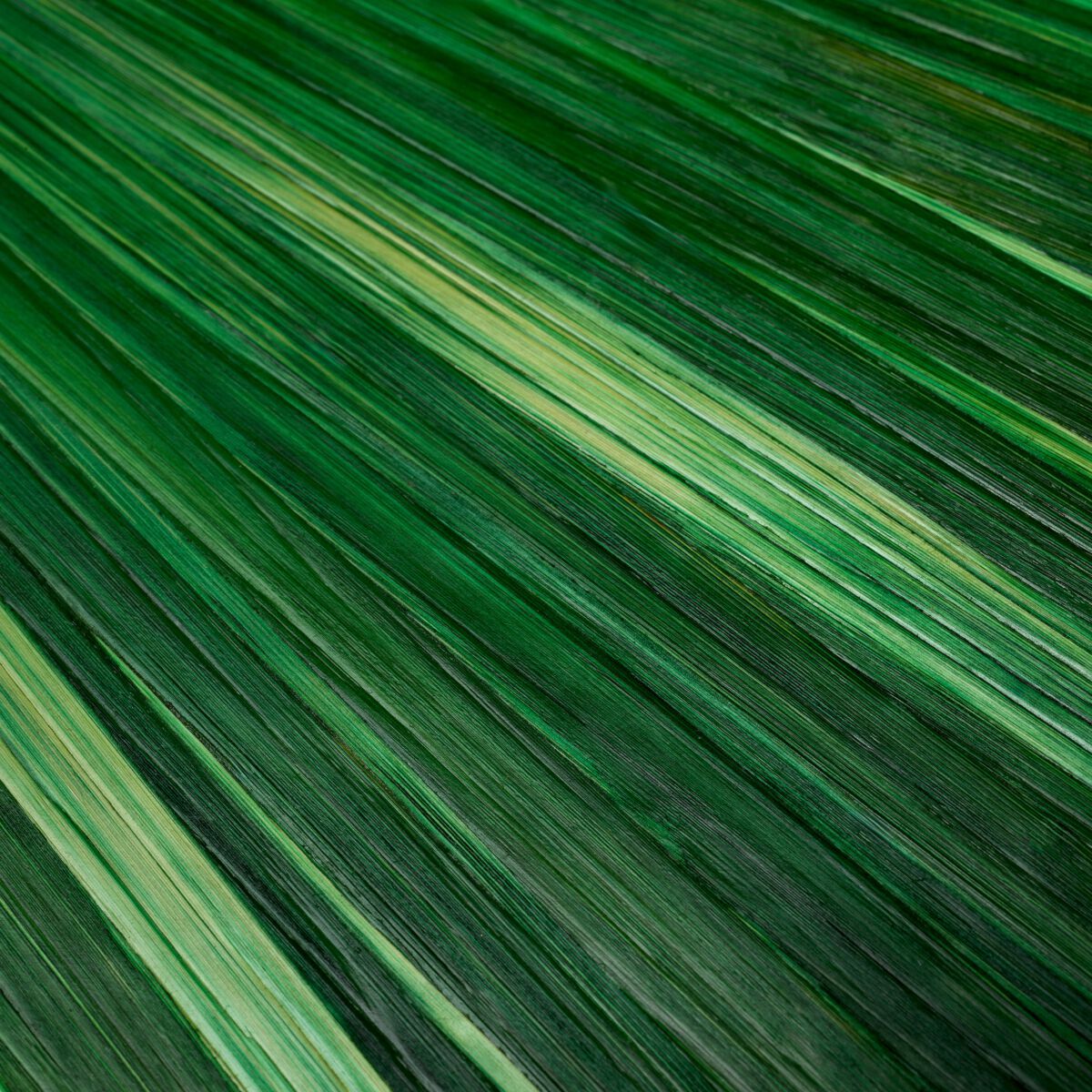 Соломенная рама Eichholtz Harvard ARCH-00132368 - Вид №3