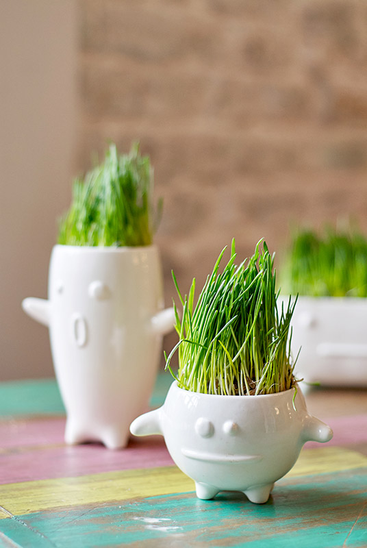 Набор для выращивания Eco Кру ЭКОЧЕЛОВЕКИ 8003 - Вид №2