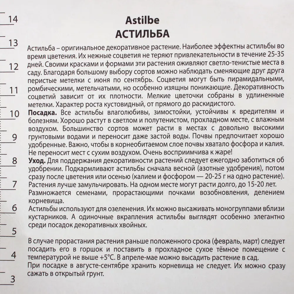 Астильба «Арендса», с капером микс 17536119 STLM-2026105 Santreyd  - Вид №5