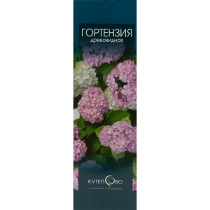 Гортензия древовидная 9x30 см 83539223 STLM-2159735