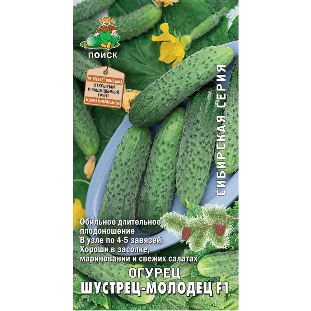Семена огурцов ПОИСК «Шустрец-молодец» F1 - ранний партенокарпический гибрид 83123839 STLM-1488883