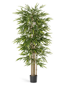 10.34607N Бамбук Новый Цветочная коллекция