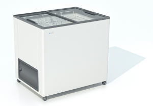 9198561 Морозильный ларь Frostor F 250 C белый, серый