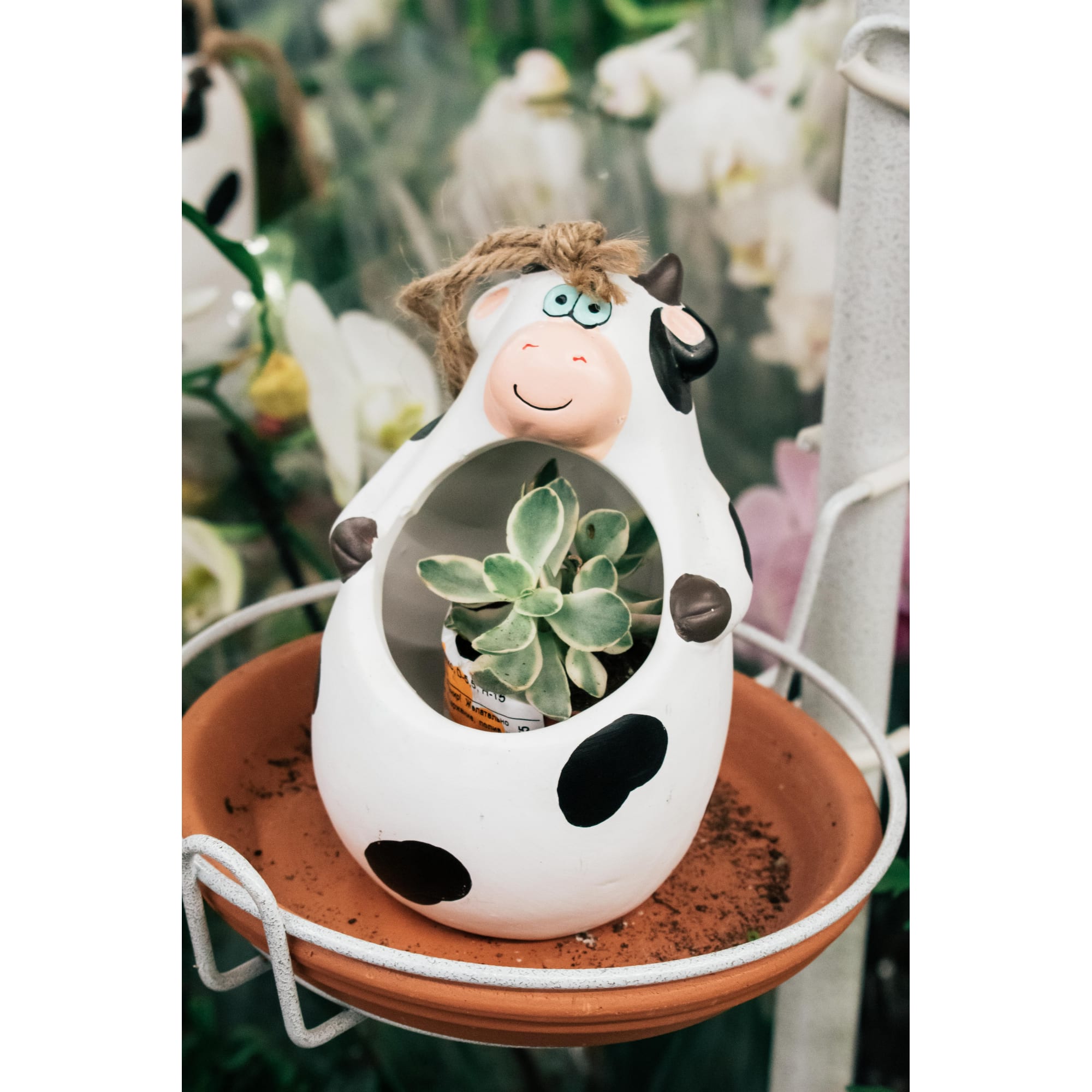 82056884 Кашпо-кактусник 10.5x10x15 см v0.15 л керамика чёрный/белый Santreyd  - Вид №5