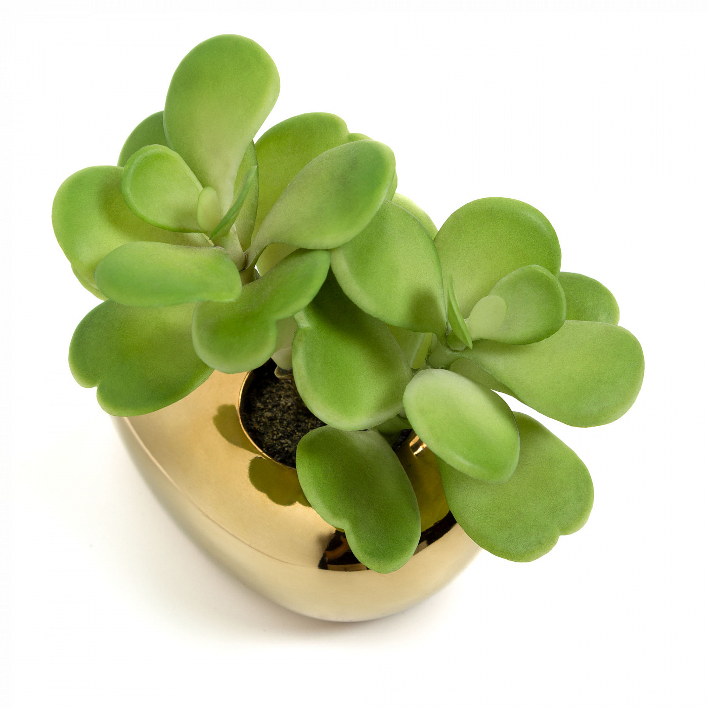 072447 Flower Искусственный суккулент в керамическом горшке La Forma Adenium  - Вид №1